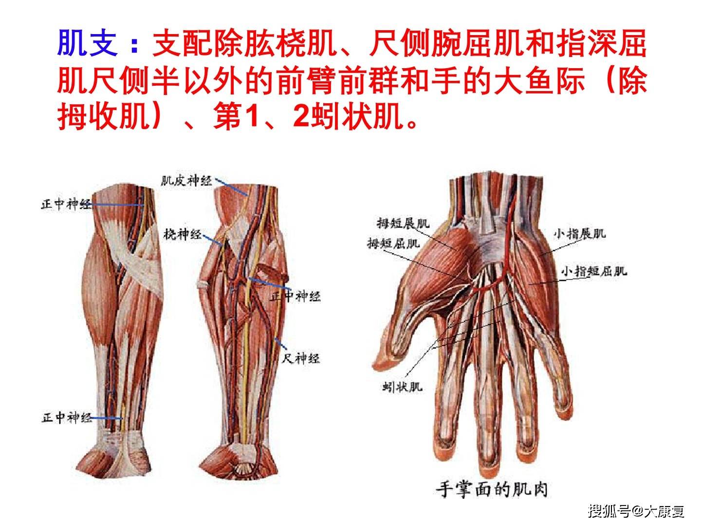 臂丛神经损伤康复