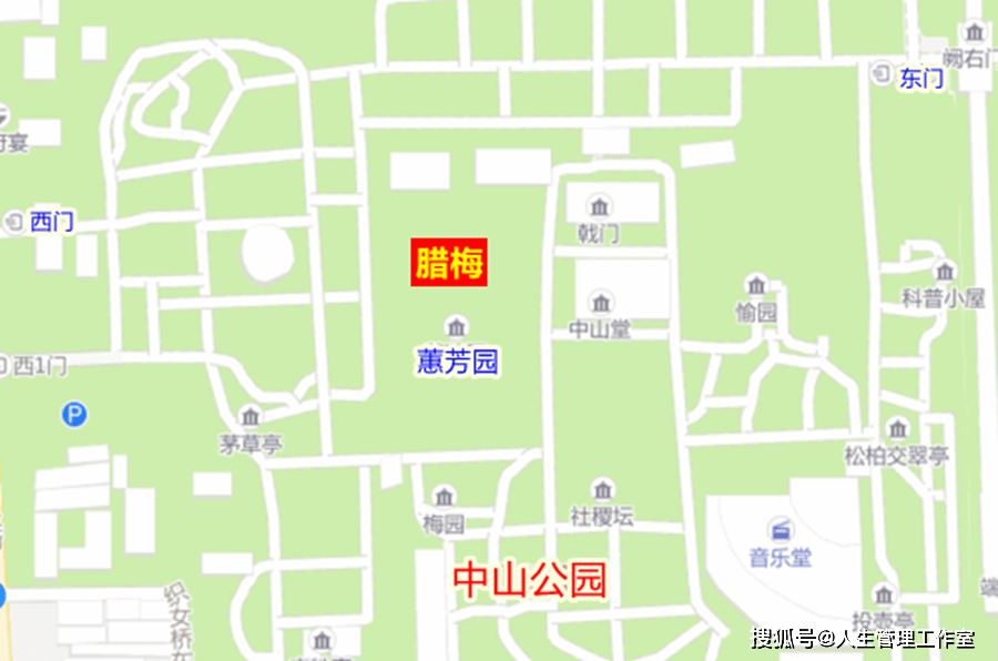 中山公园腊梅,在园中园"蕙芳园"内.