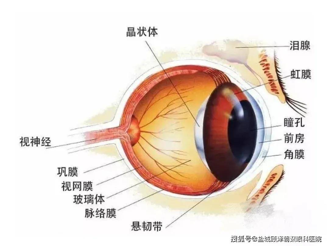 盐城唯二两例折叠人工玻璃体球囊植入手术在我院顺利进行!