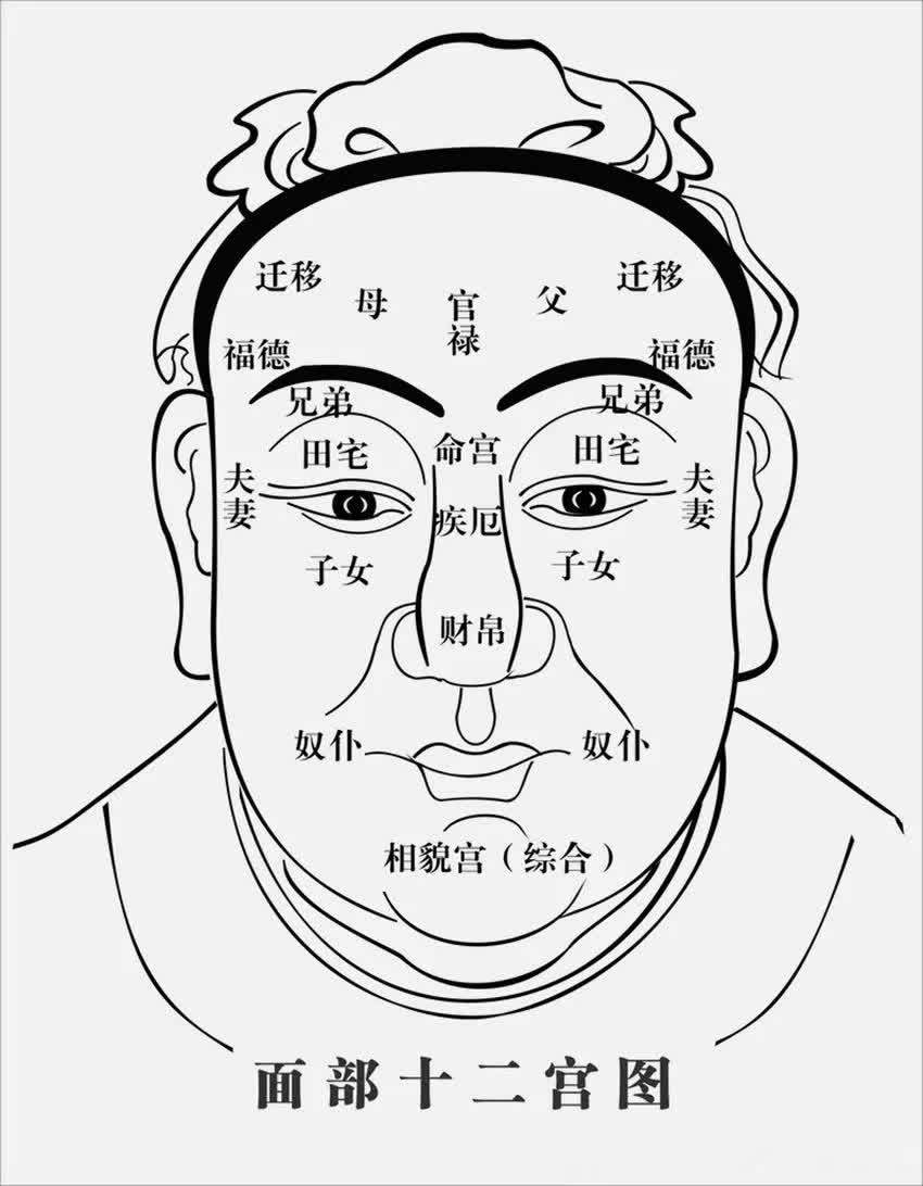 从面相看人的德行阴德纹和缺德纹的看法