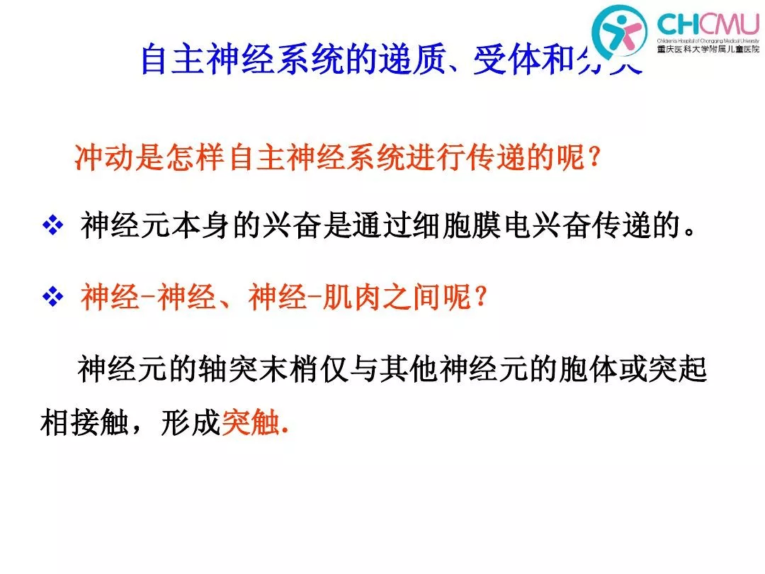 元,这些神经元生成和释放的多种物质也符合神经递质或神经调质的定义