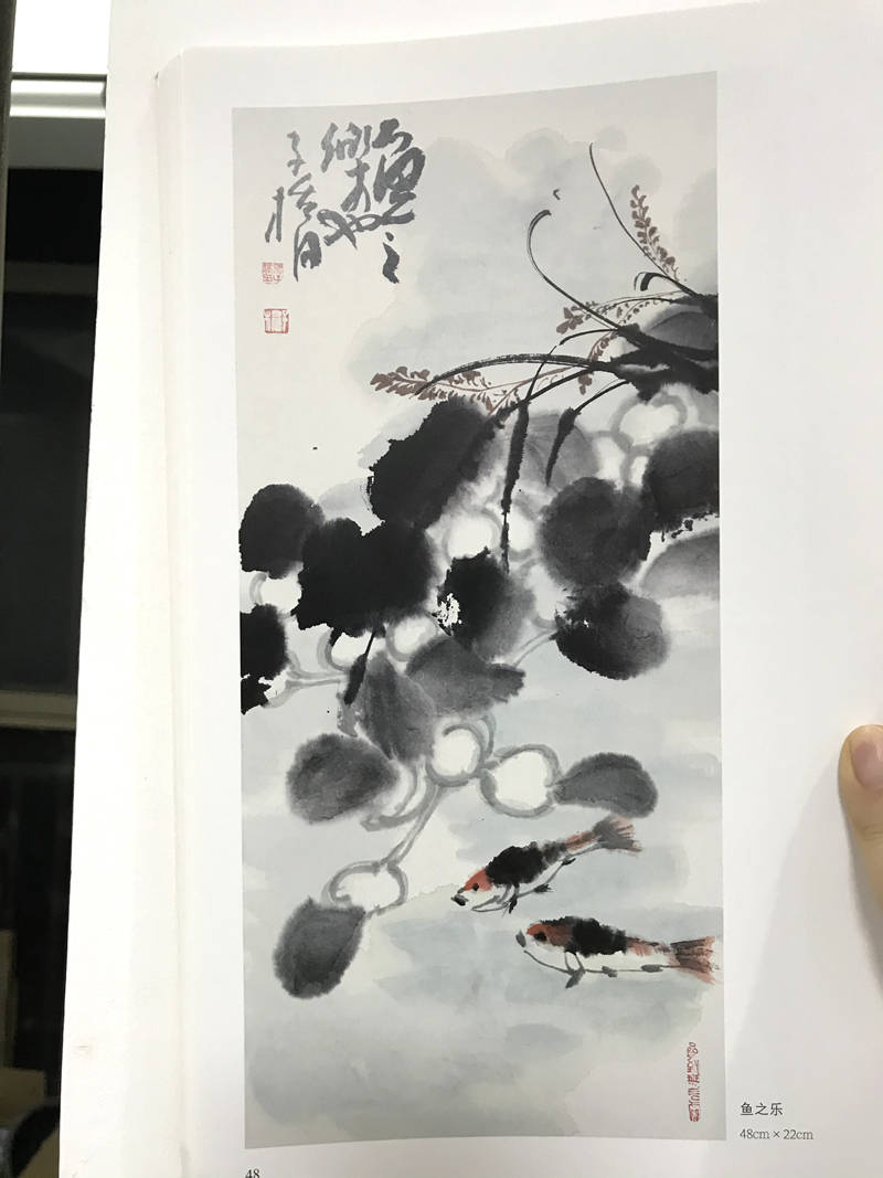 清风入怀画家徐子桥花鸟画作品选