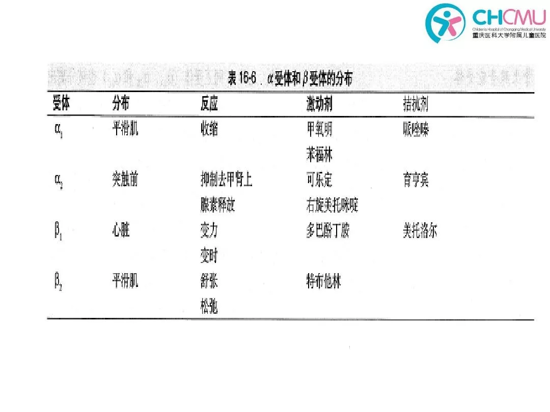 元,这些神经元生成和释放的多种物质也符合神经递质或神经调质的定义