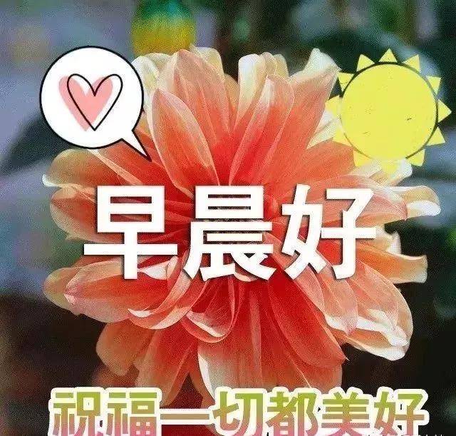 原创正月十二漂亮清晨早安表情动态图片,问候早安的带字图片