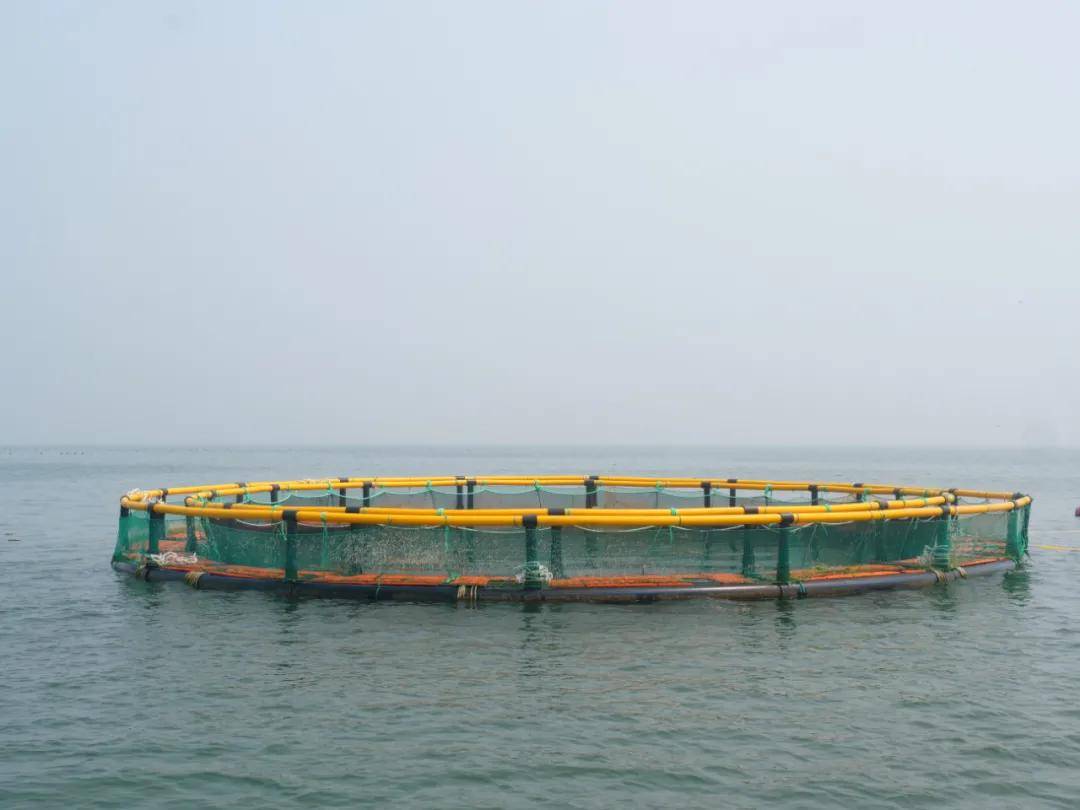 深海网箱被认为是目前海水养殖最成功的典范,是一种利用新材料与