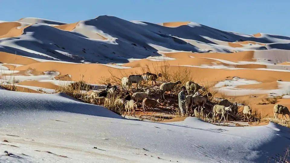 撒哈拉沙漠居然下雪了一组照片震惊世界99的人都没见过