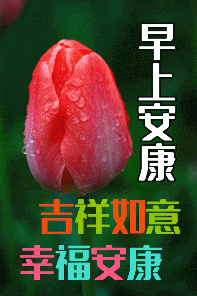 原创早上好!新的一天,祝福图片,祝事事顺心如意,愿你开心快乐