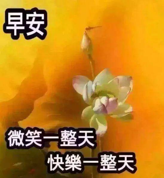 早上好祝福语集锦 早安表情图片带字带祝福语 祝福图片