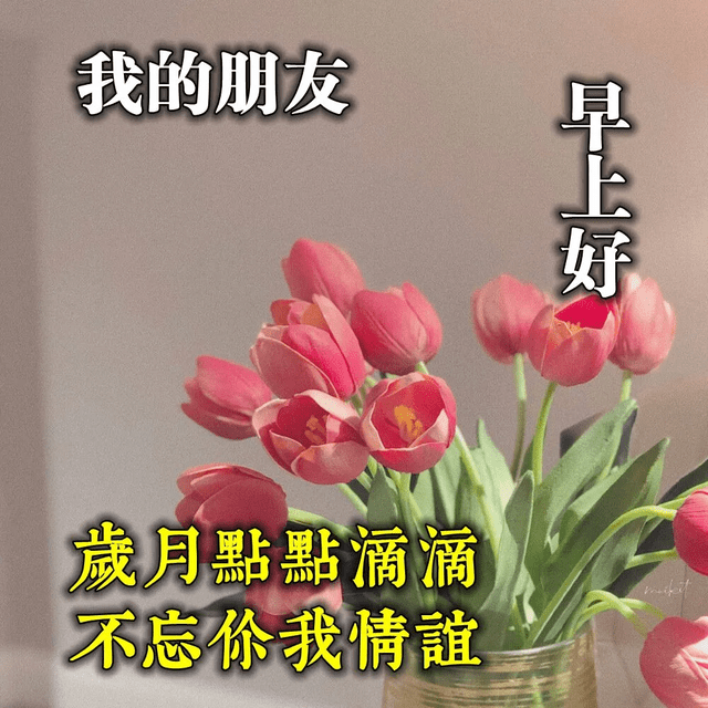 问候朋友早上好祝福表情问候图片动态 最新款早安祝福