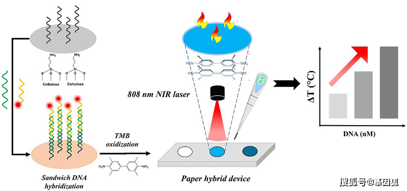 图1 基于光热效应和纸芯片的dna检测原理示意图.