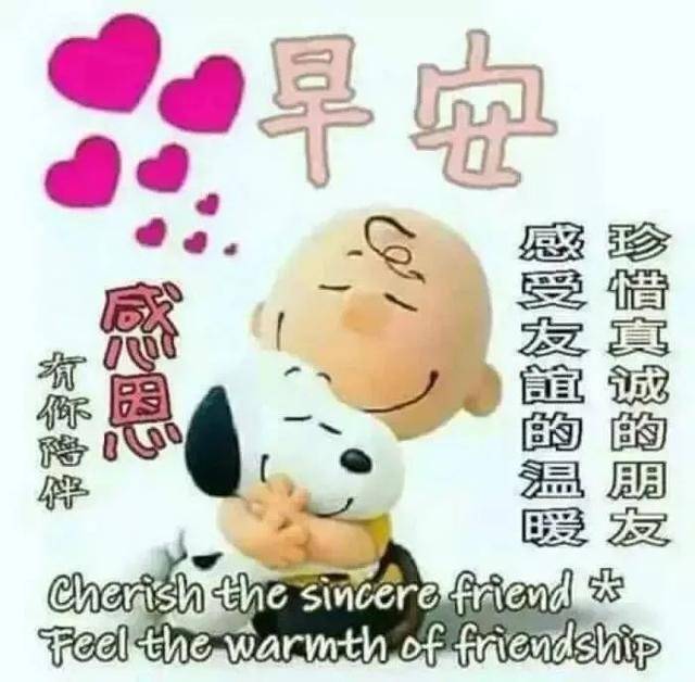 非常好看的微信朋友圈早上好心情感悟 新版早上好祝福