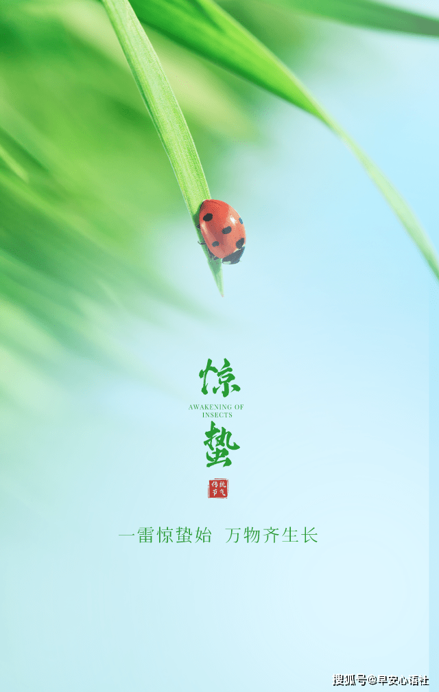 2021惊蛰发朋友圈的文案 惊蛰发朋友圈说说配图