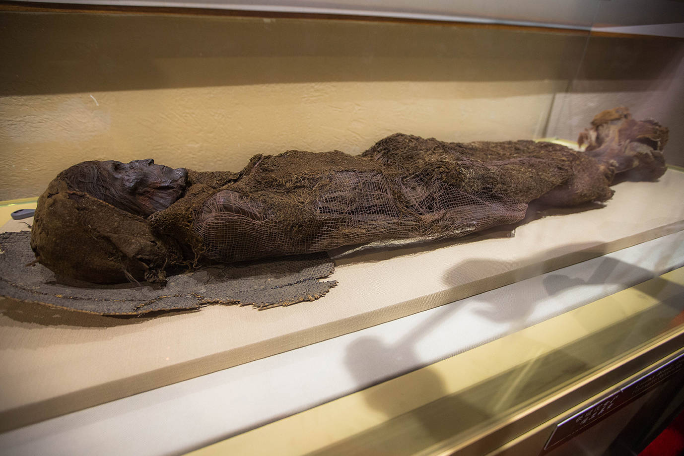 探寻新疆博物馆千年古尸的秘密,楼兰美女如何做到4000