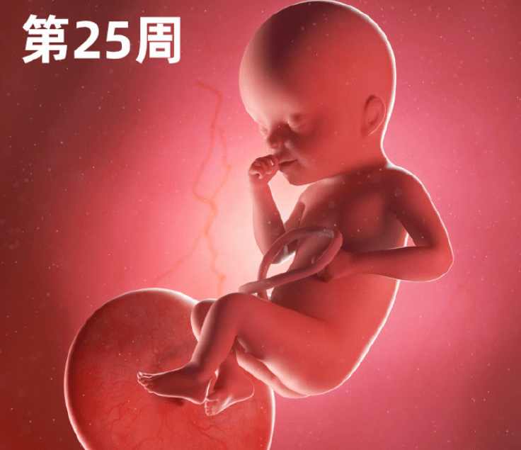 孕27周胎宝宝体重的快速增长,会把子宫撑得更大,孕27周的妈妈走路都有