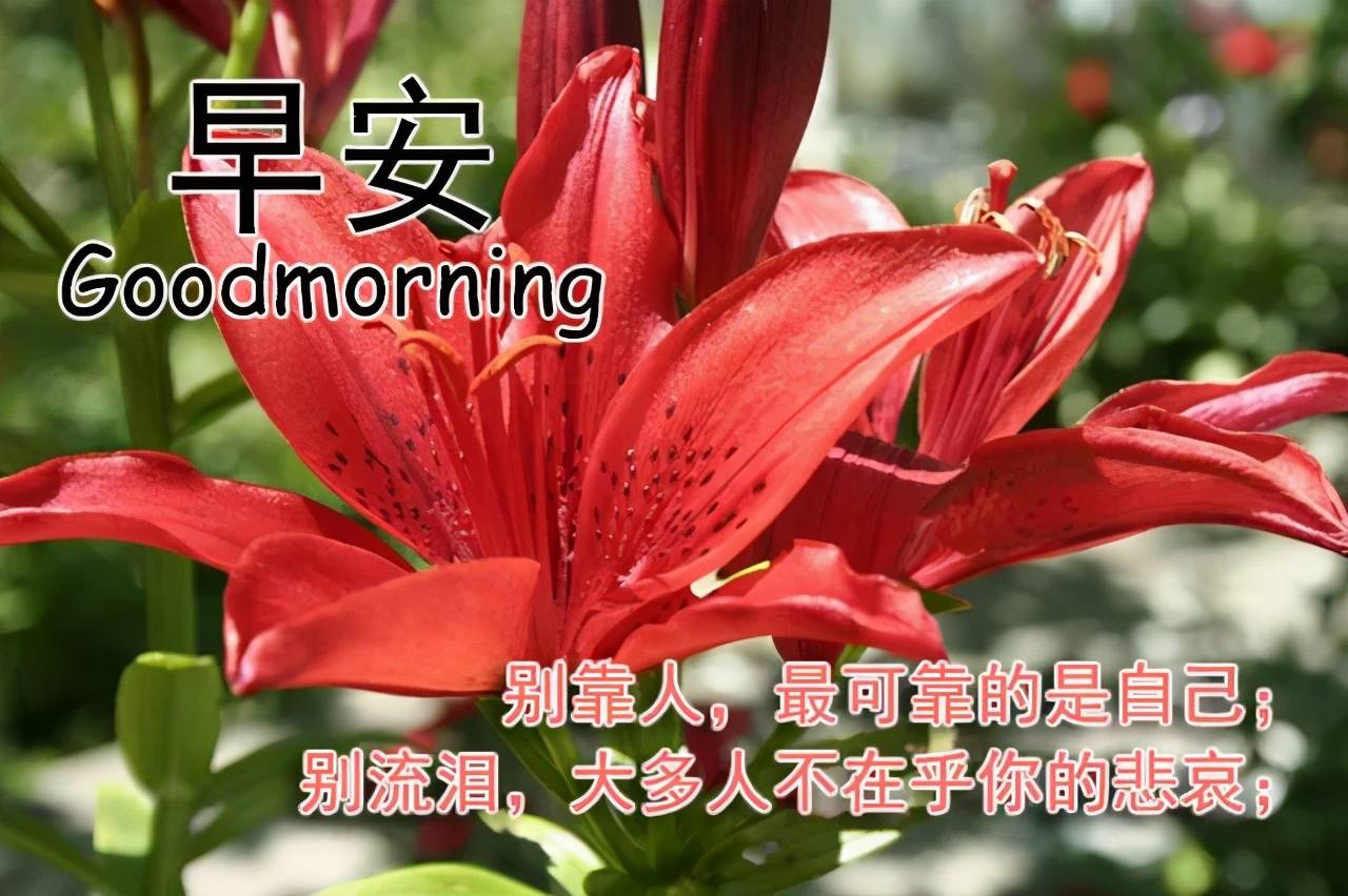 清晨早上好温馨问候 早上好快乐问候祝福短信大全