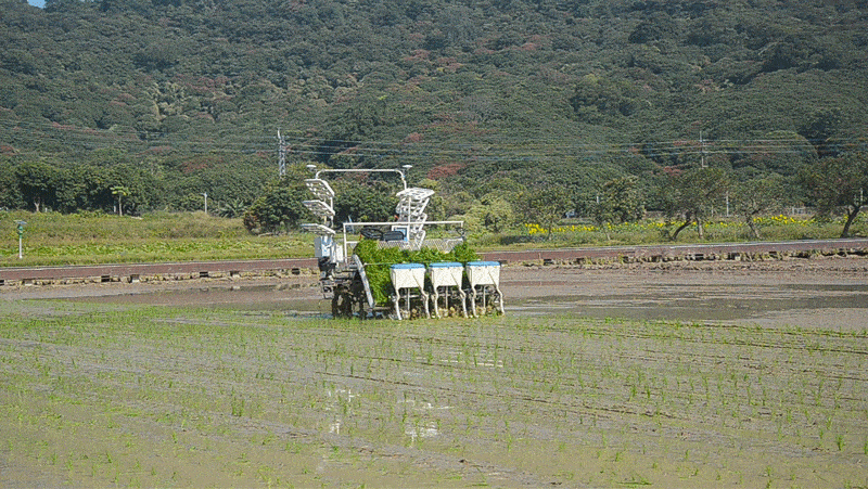 艾米登上凤凰卫视王牌节目!5g数字农业应用唯一代表!