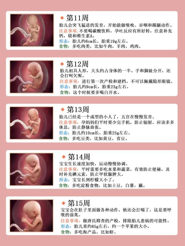 孕期140周胎儿发育全过程准爸妈必看