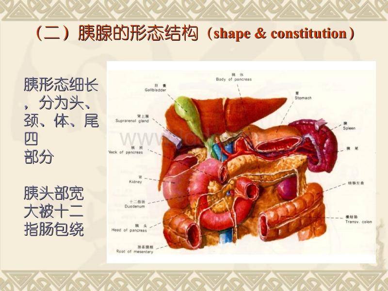 胰腺癌来临,饭后通常会出现4个"特点",若你全占,最好去检查