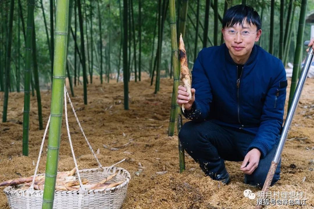 雨后春笋冒尖,快到明月村踏青!