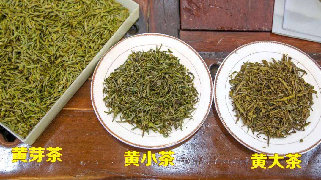 喝茶养胃尝玉米甜香的平阳黄汤茶认准农产品地理标志