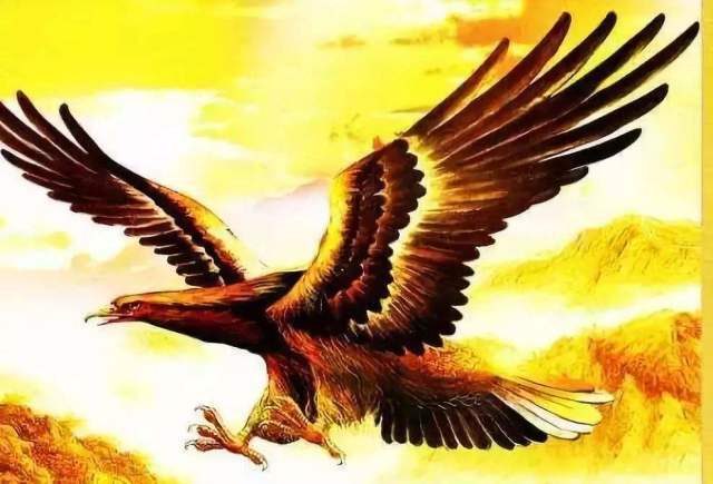 关于中国上古神话当中的十大神鸟没想到第四是凤凰第五是三足金乌
