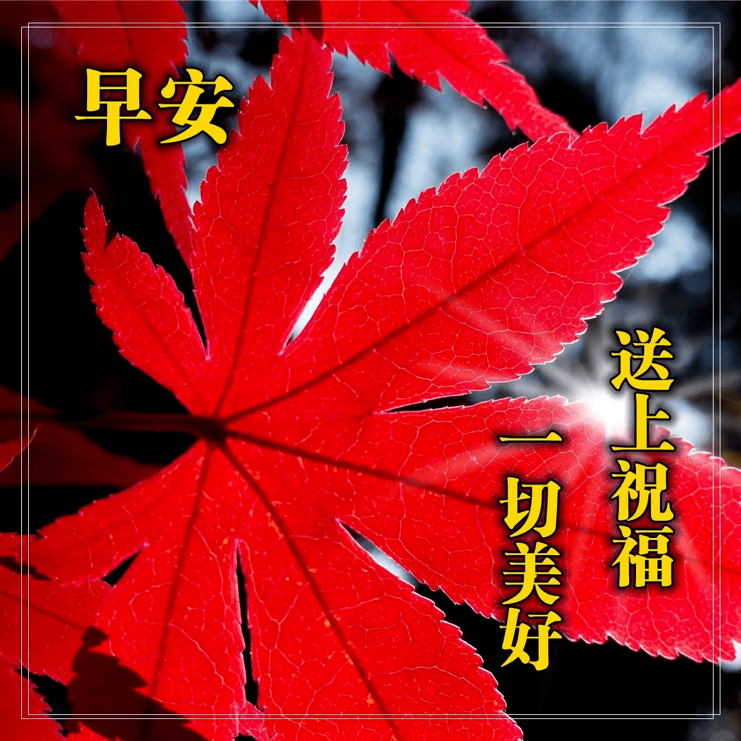 原创早上好问候语图片大全,最美早安祝福语唯美表情