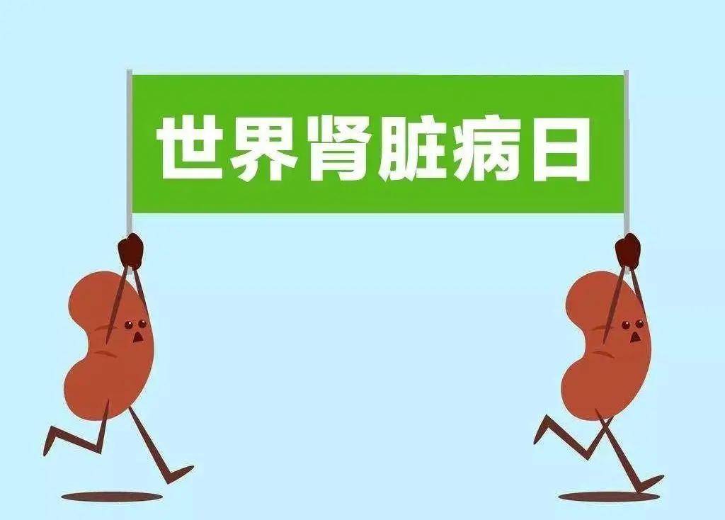 十个人中就有一个慢性肾脏病患者,人们却普遍忽视它