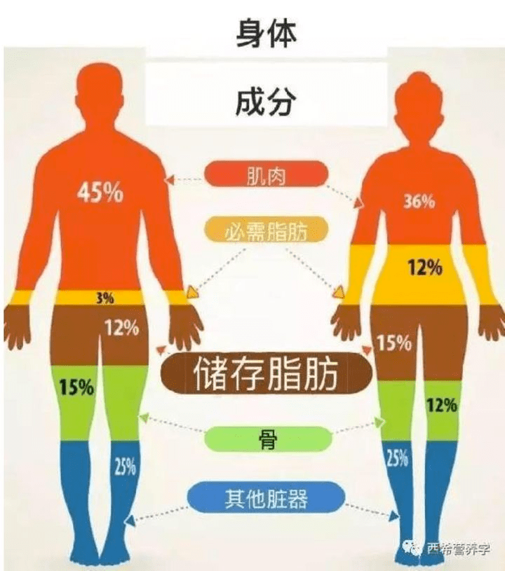 荒野健康为什么运动员的肌肉还不如健身爱好者明显