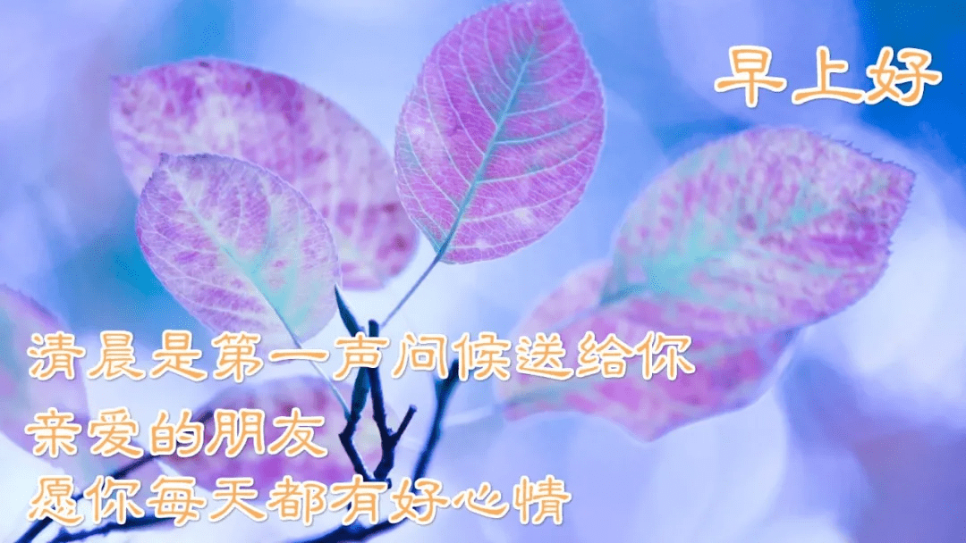 大家早上好问候语 早上好祝福语动态表情图片大全