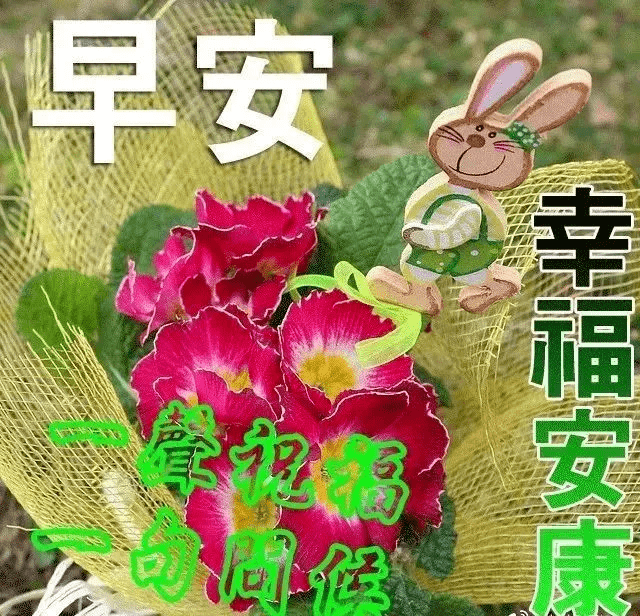 最新版早安问候语动态图片表情 清晨早上好问候祝福动态表情图片