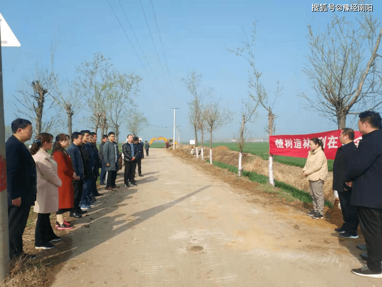 南阳市宛城区高庙镇:植树造林扮靓乡村