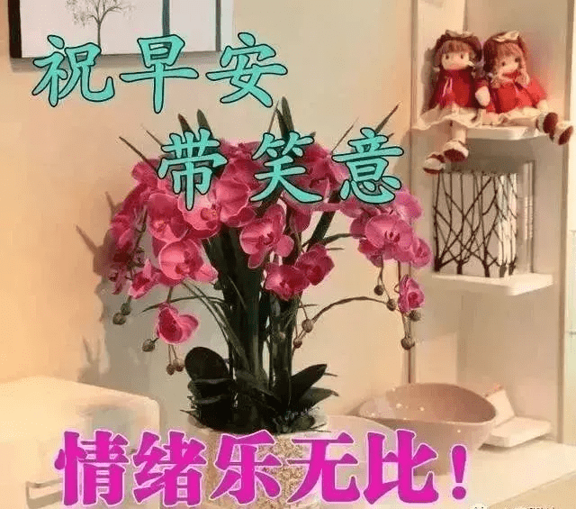 新的一天早上好最美祝福语 温暖人心的早安祝福语图片