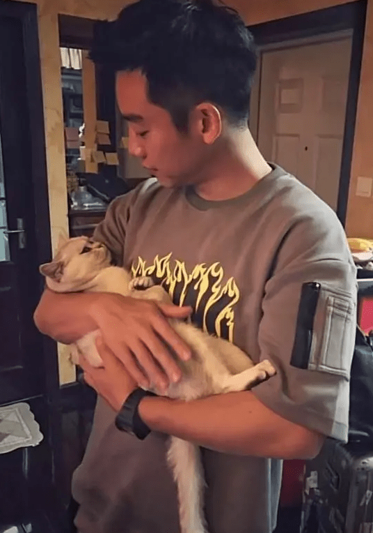 郑恺工作室晒艺人生活照喊话老板终于抱上了女儿