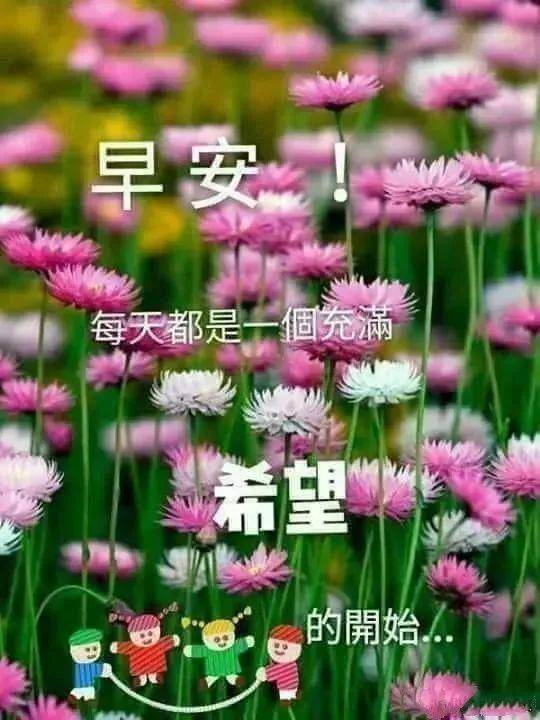 原创朋友圈早上好祝福表情问候图片带字早安祝福问候图片