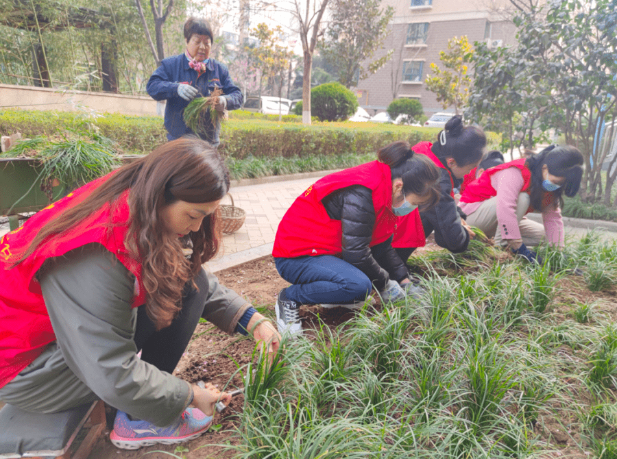 东岭社区开展植树节主题活动