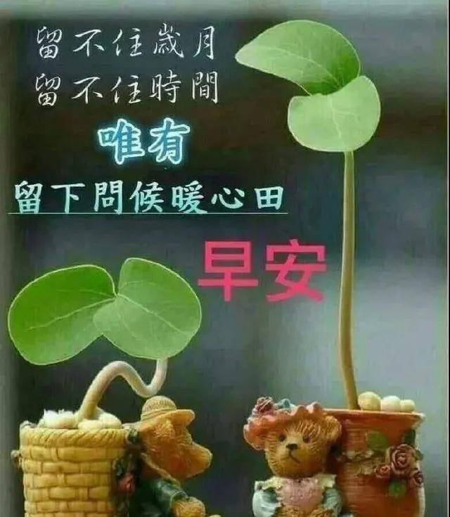 温馨的早上好问候语动态鲜花图片带字 最美早安问候温馨图片带字