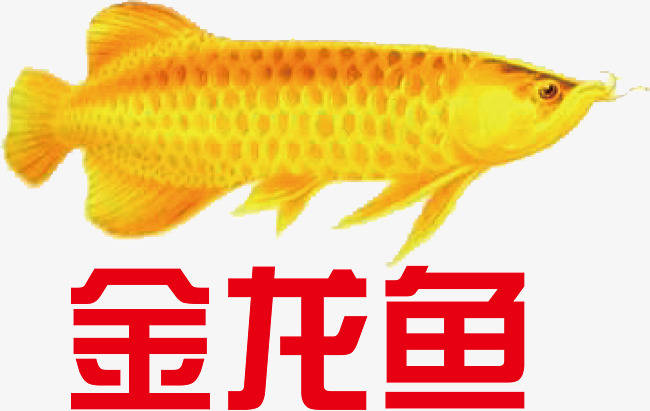 河南京驰供应链与金龙鱼粮油达成合作