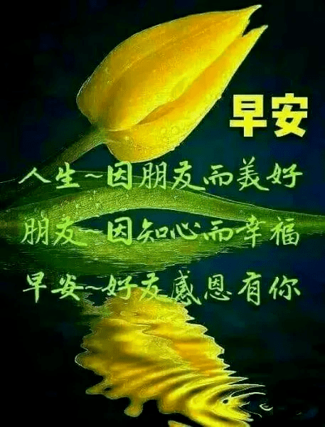 早上好图片大全表情包早上好问候语文字带阳光图片