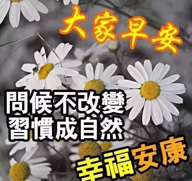 早上好问候语图片带关心句子 早安祝福语表情