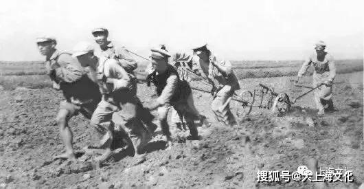 原创散文战斗在军垦生产第一线雷庆林