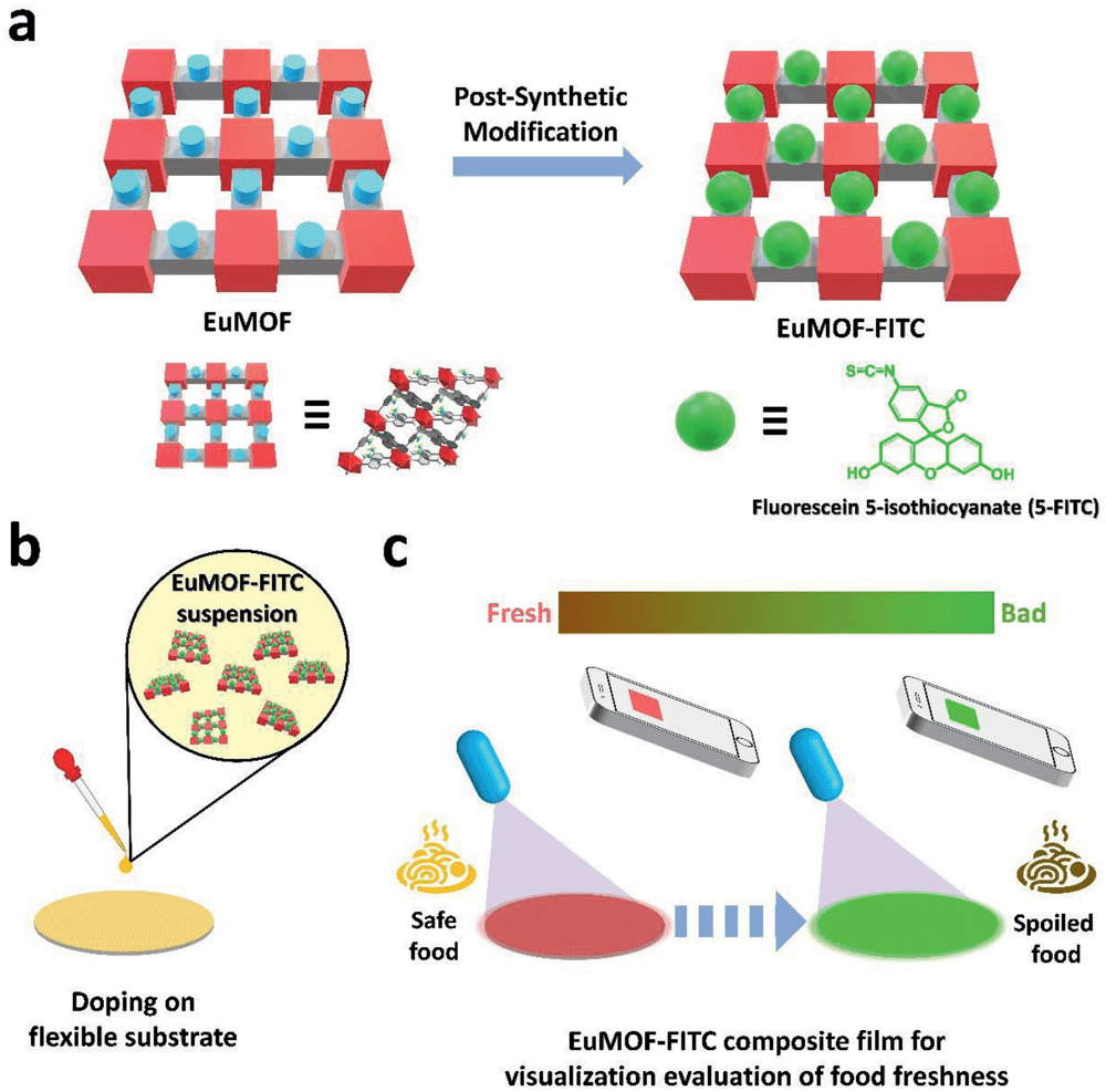 am 新应用,mofs荧光探针还可以用来实时可视化检测食品质量?_研究