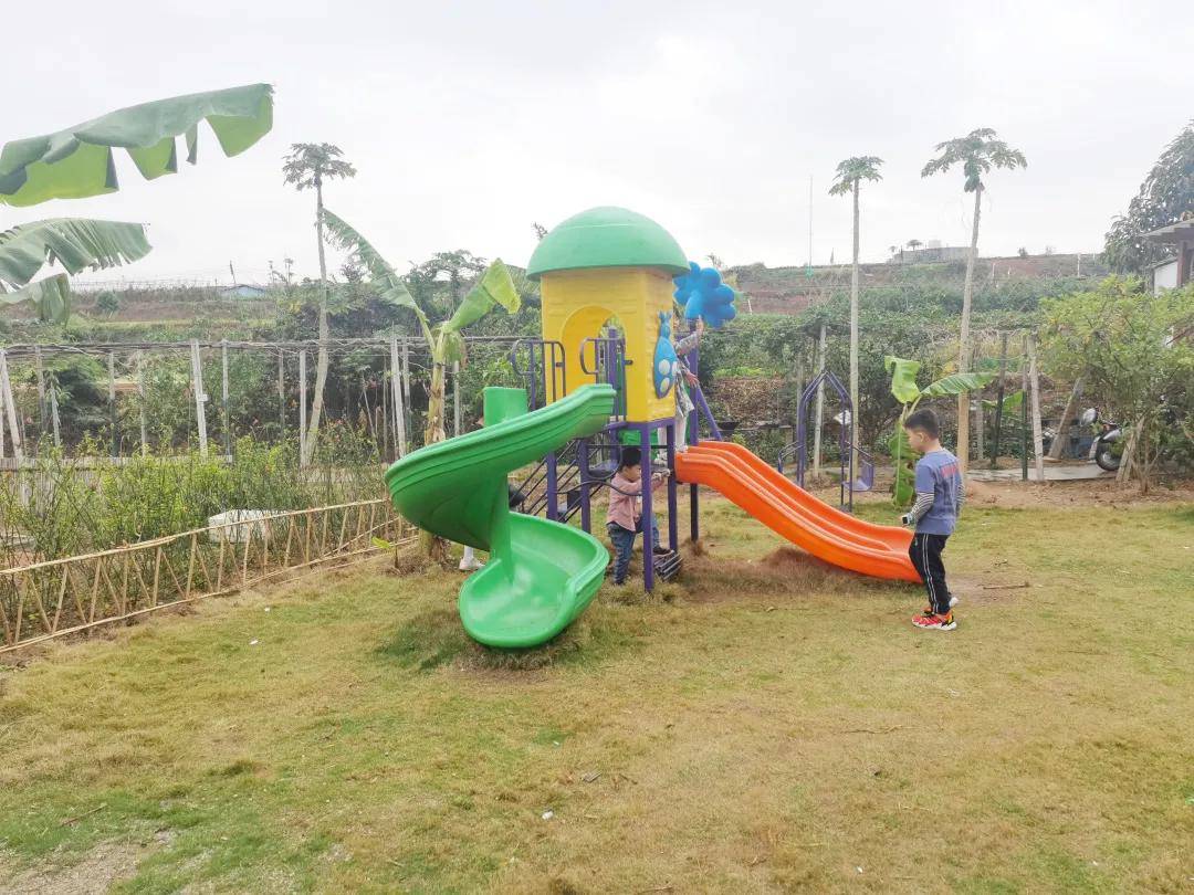 童乐一号(鼎和盛集团石岩料坑种植基地)