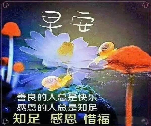 2021二月六早安温馨问候语录,愿你天天微笑,快乐永远