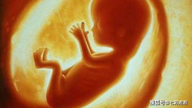 怀孕后的3个阶段,胎儿的发育概况