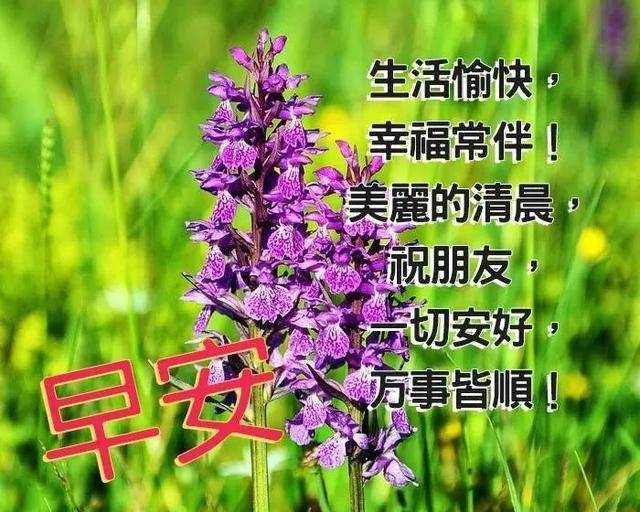 微信朋友圈早晨好问候语图片表情 漂亮早上好问候语动