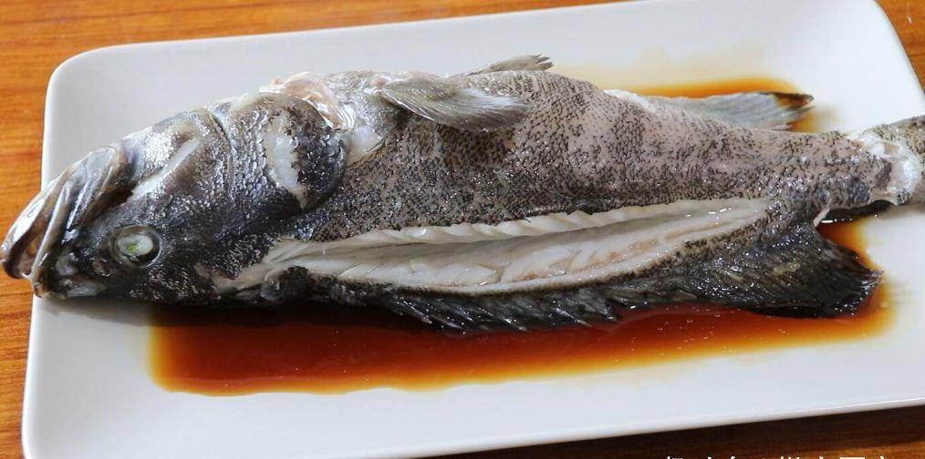 69元买回来一条青石斑鱼,教你清蒸石斑鱼的做法,鱼肉鲜嫩入味