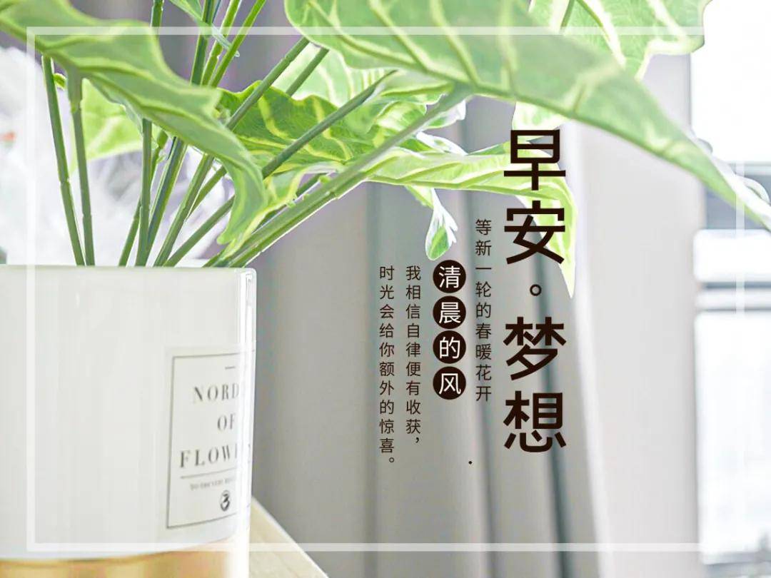 精简唯美早安心语,充满阳光的早安朋友圈图文说说