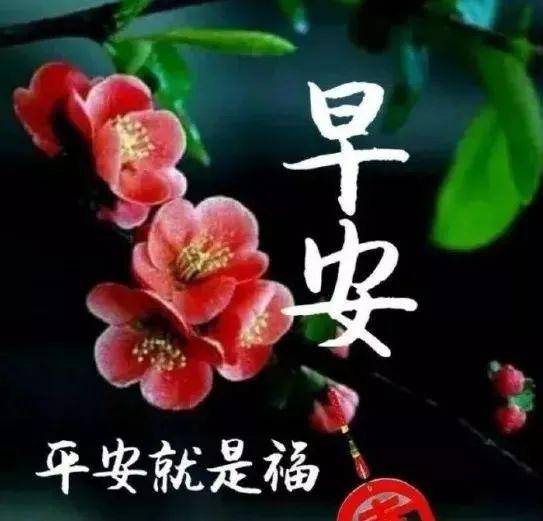 原创夏季清早最暖心短信的问候祝福语最好的早上好祝福美图