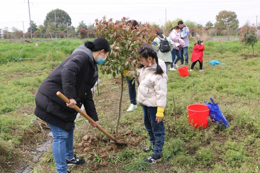 拥抱春天·播种绿色—万德斯2021年植树节活动圆满成功