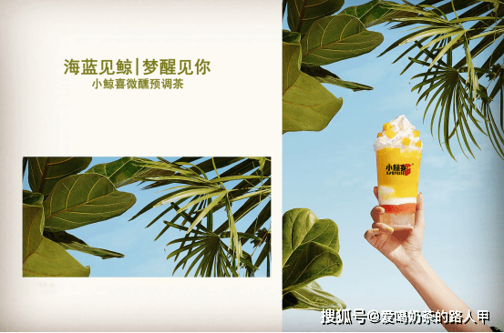 小鲸喜大满足